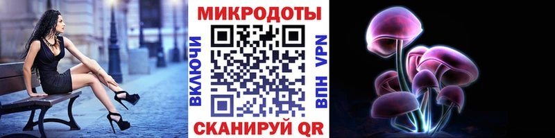 Купить  Кирово-Чепецк  Галлюциногенные грибы мицелий 